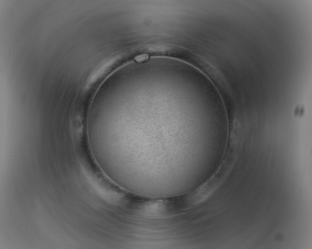 X0000113280116200909211049