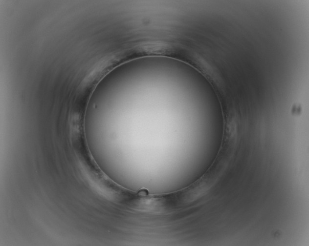 X0000113280117200909211049