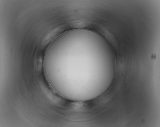 X0000113280118200909211049