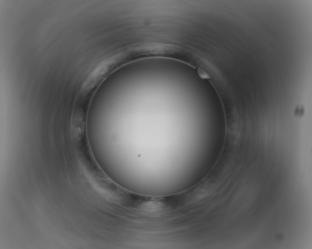 X0000113280119200909211049