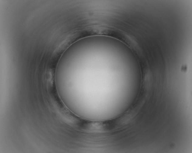 X0000113280121200909211049