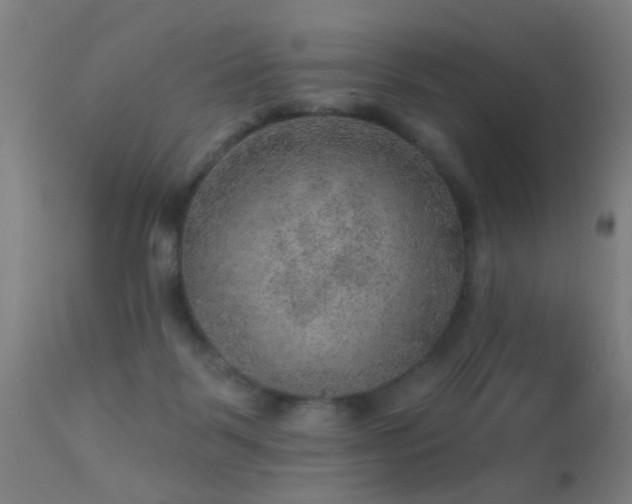 X0000113280123200909211049