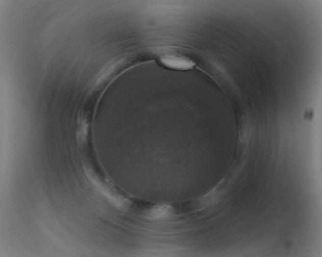 X0000113280124200909211049