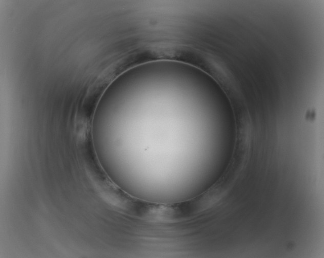 X0000113280125200909211049