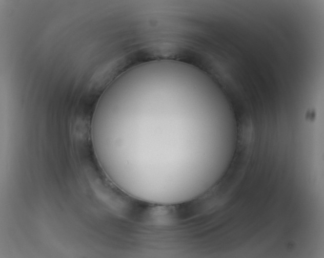 X0000113280126200909211049