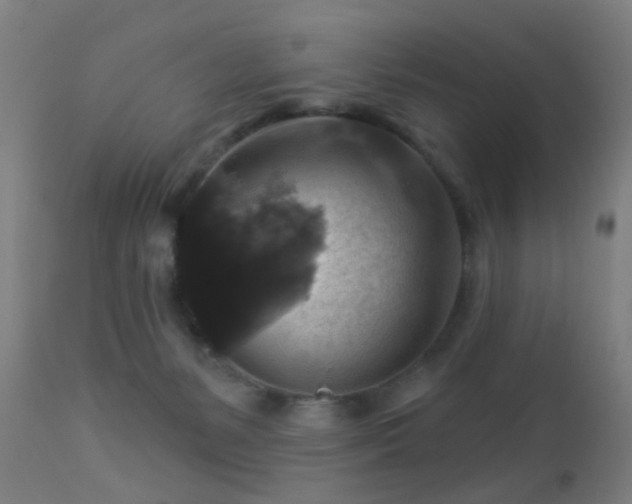 X0000113280127200909211049