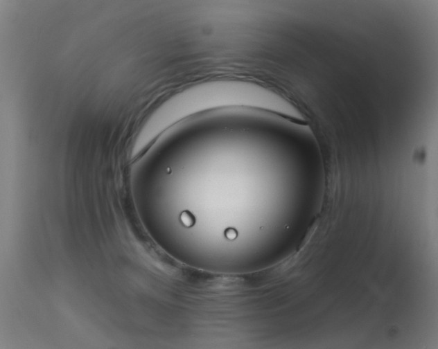 X0000113280128200909211049