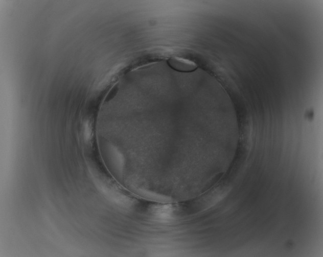 X0000113280131200909211049