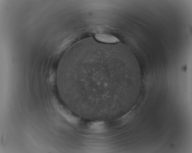 X0000113280132200909211049