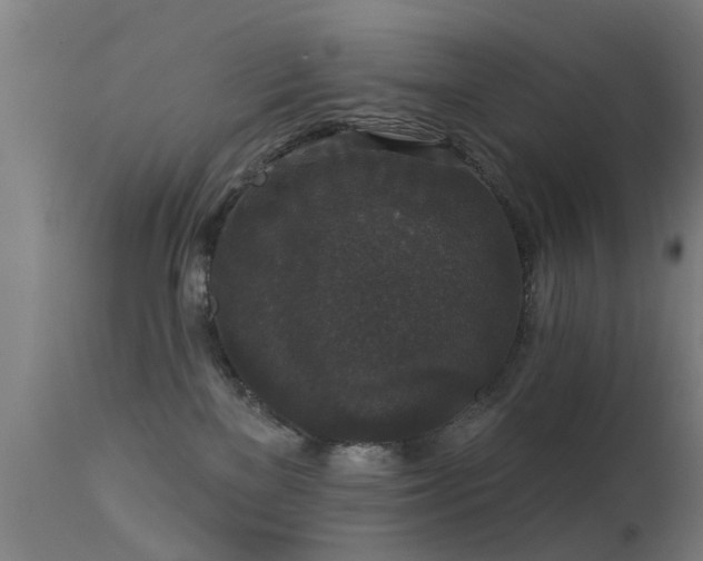 X0000113280137200909211049