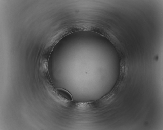 X0000113280141200909211049