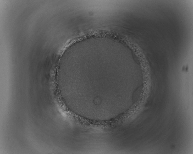 X0000113280144200909211049