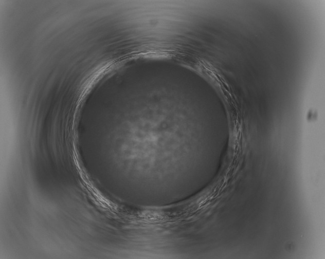 X0000113280145200909211048