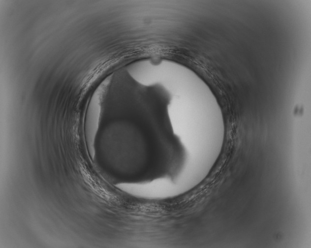 X0000113280146200909211048