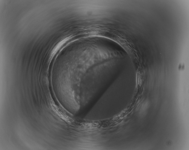 X0000113280147200909211048