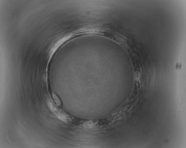 X0000113280148200909211048