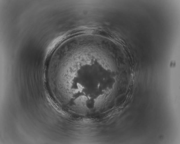 X0000113280149200909211048