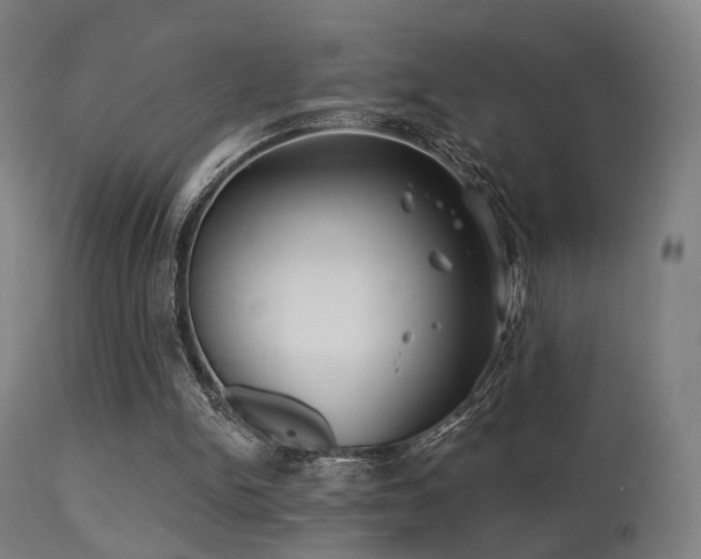 X0000113280150200909211048