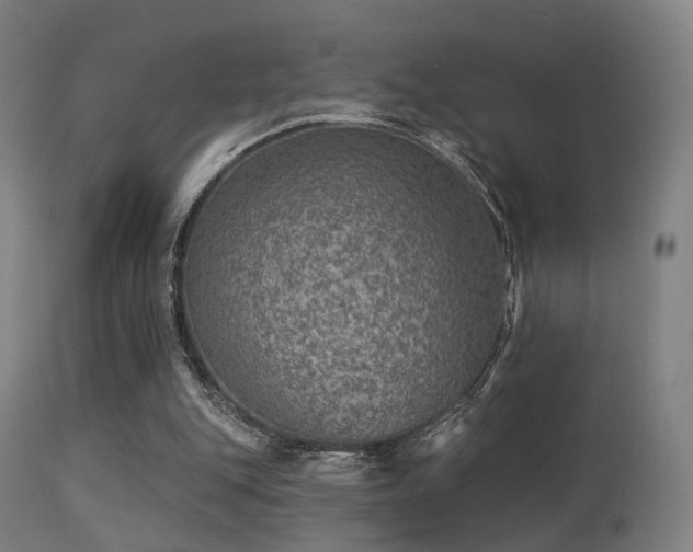 X0000113280151200909211048