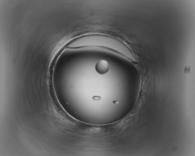 X0000113280152200909211048