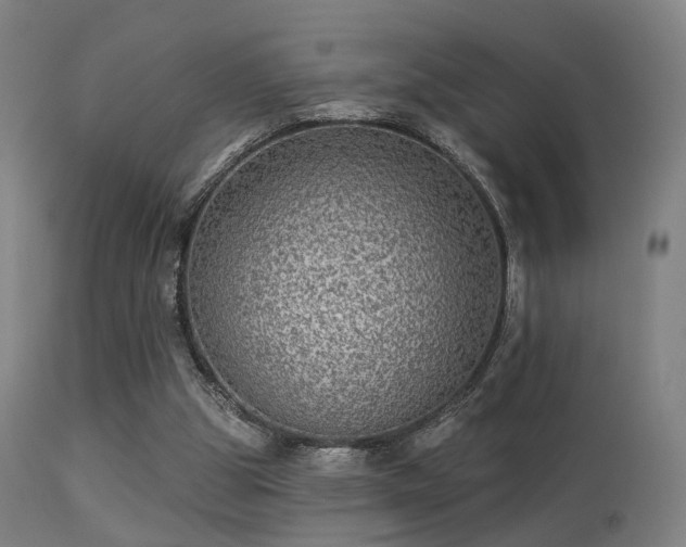 X0000113280153200909211048