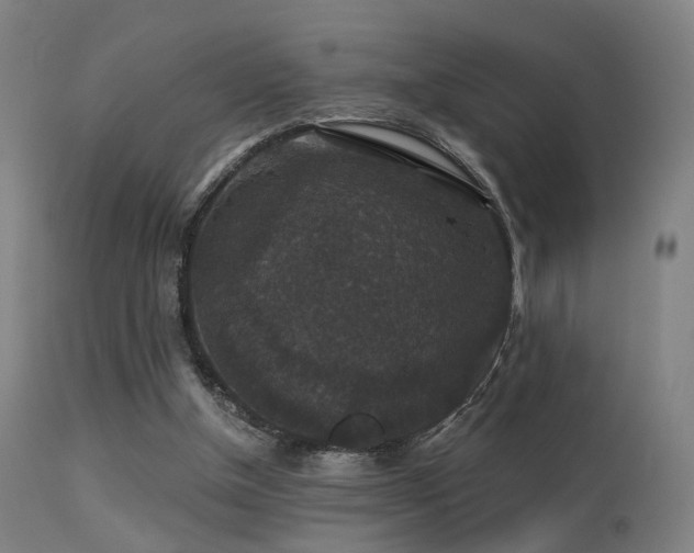 X0000113280154200909211048