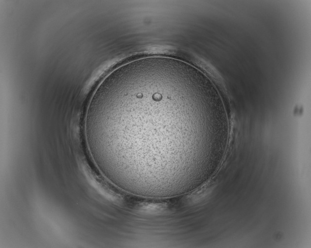 X0000113280155200909211048