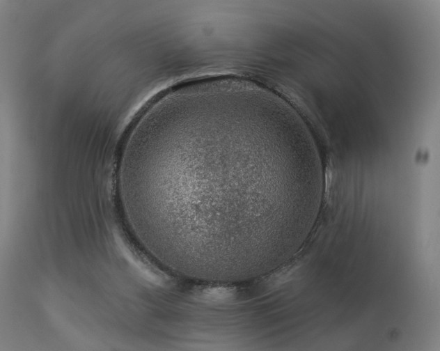 X0000113280156200909211048