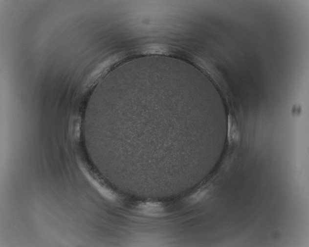 X0000113280157200909211048