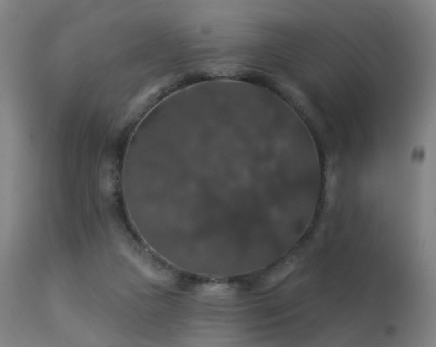 X0000113280161200909211048