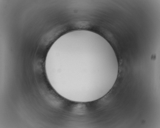 X0000113280162200909211048