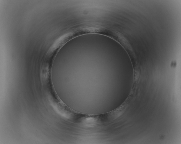 X0000113280163200909211048