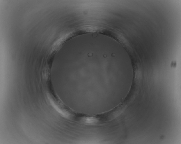 X0000113280165200909211048