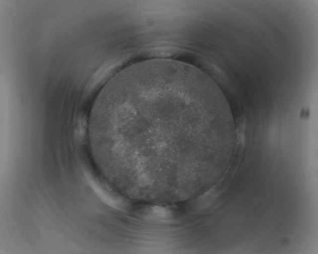 X0000113280166200909211048