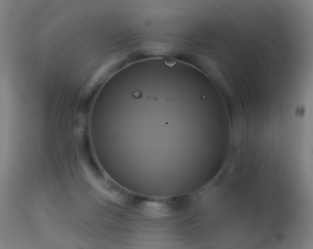 X0000113280167200909211048