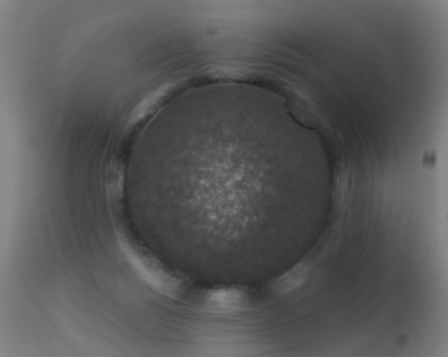 X0000113280168200909211048