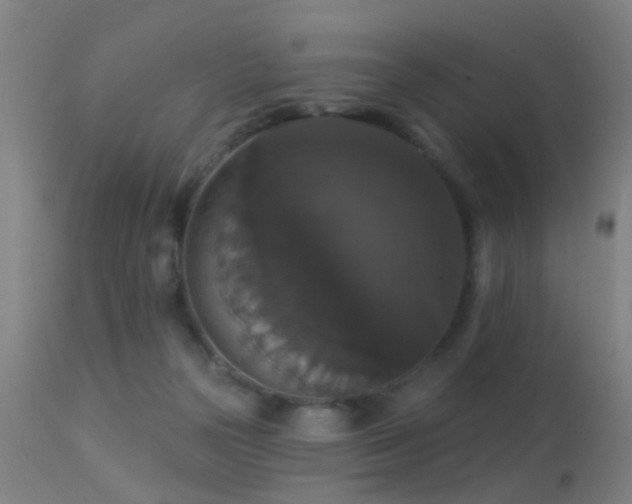 X0000113280169200909211048