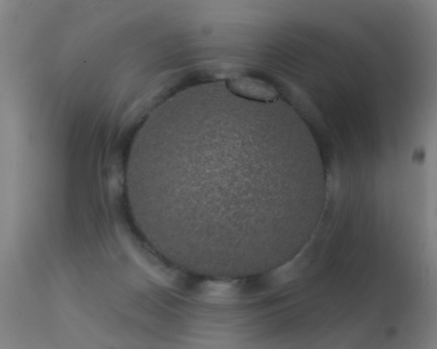 X0000113280170200909211048