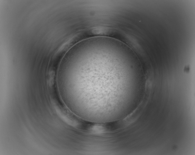 X0000113280171200909211048