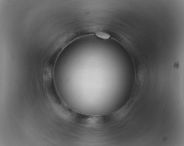 X0000113280172200909211048