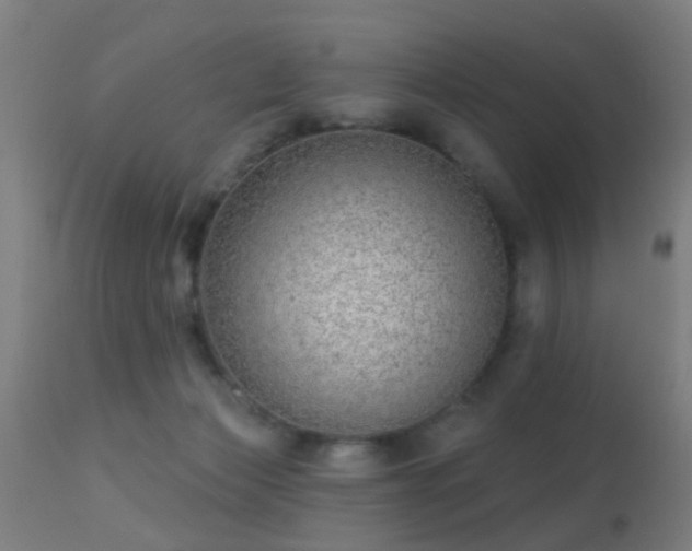 X0000113280173200909211048