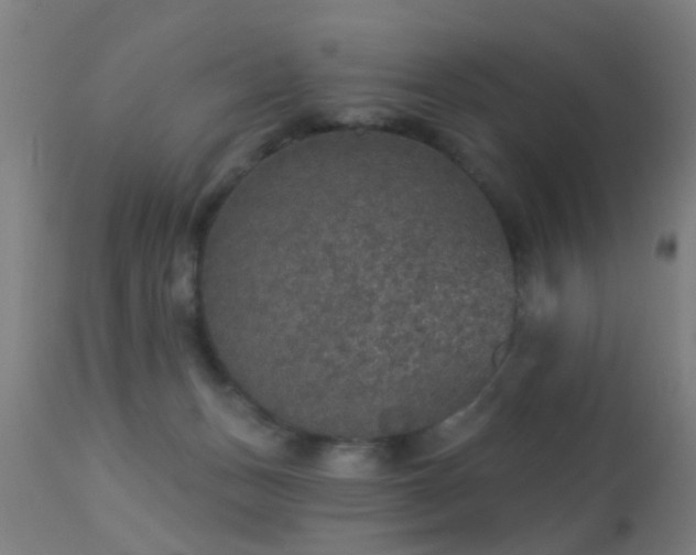 X0000113280175200909211048