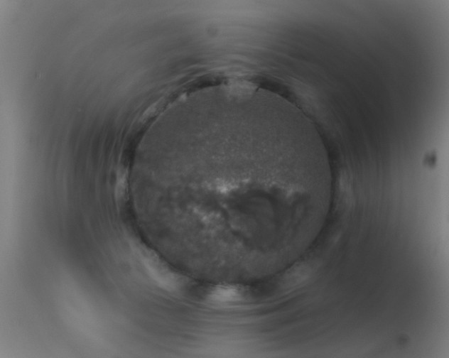 X0000113280177200909211048