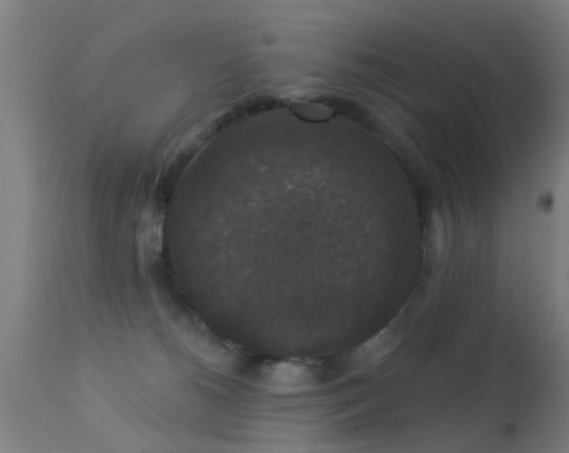 X0000113280180200909211048