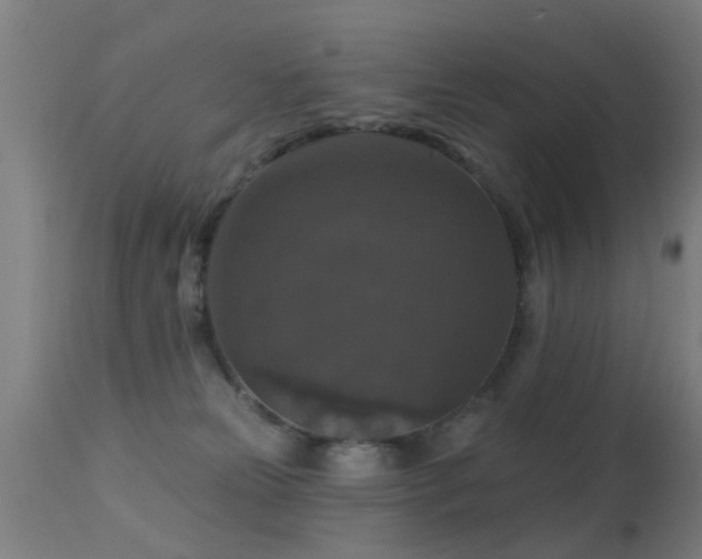 X0000113280181200909211048