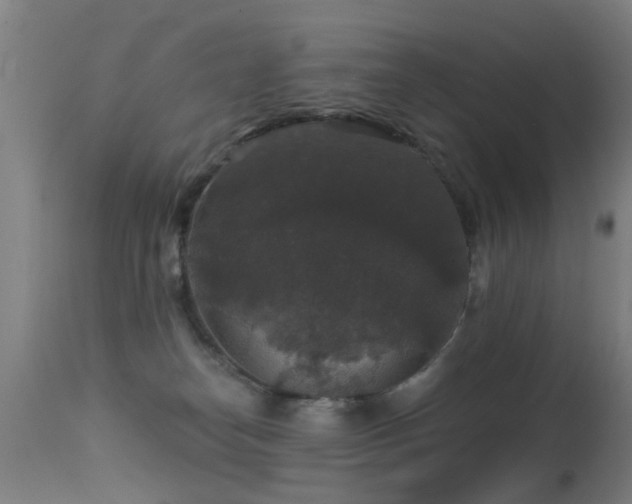 X0000113280182200909211048