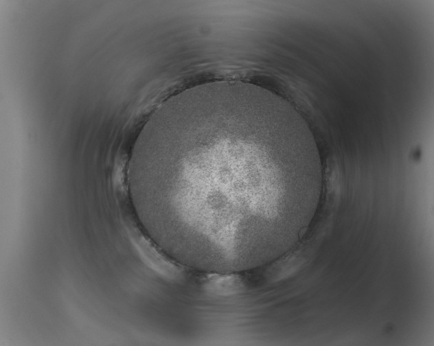 X0000113280185200909211048