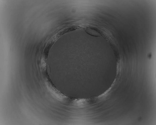 X0000113280186200909211048