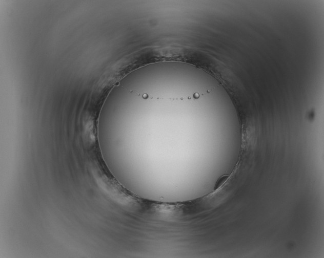 X0000113280187200909211048