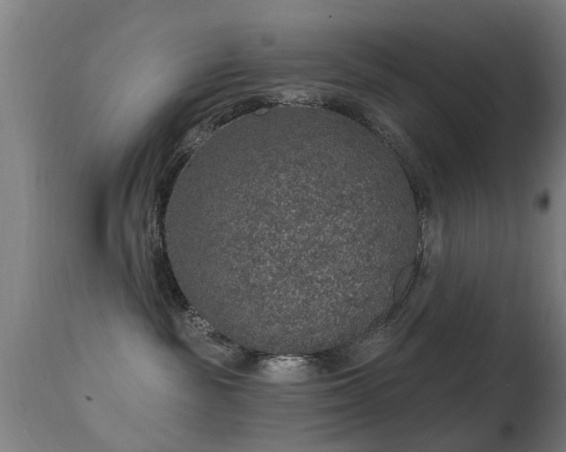 X0000113280189200909211048